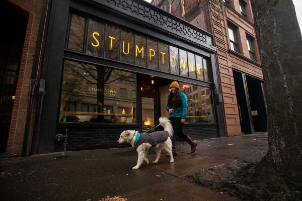 Ruffwear Stumptown Jacket Twilight Gray Gr. S Ruffwear Stumptown Jacket Twilight Gray Gr. S